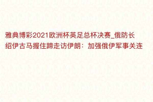 雅典博彩2021欧洲杯英足总杯决赛_俄防长绍伊古马握住蹄走访伊朗：加强俄伊军事关连