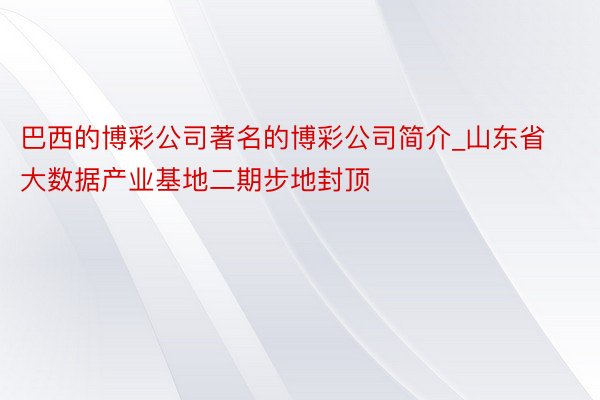 巴西的博彩公司著名的博彩公司简介_山东省大数据产业基地二期步地封顶